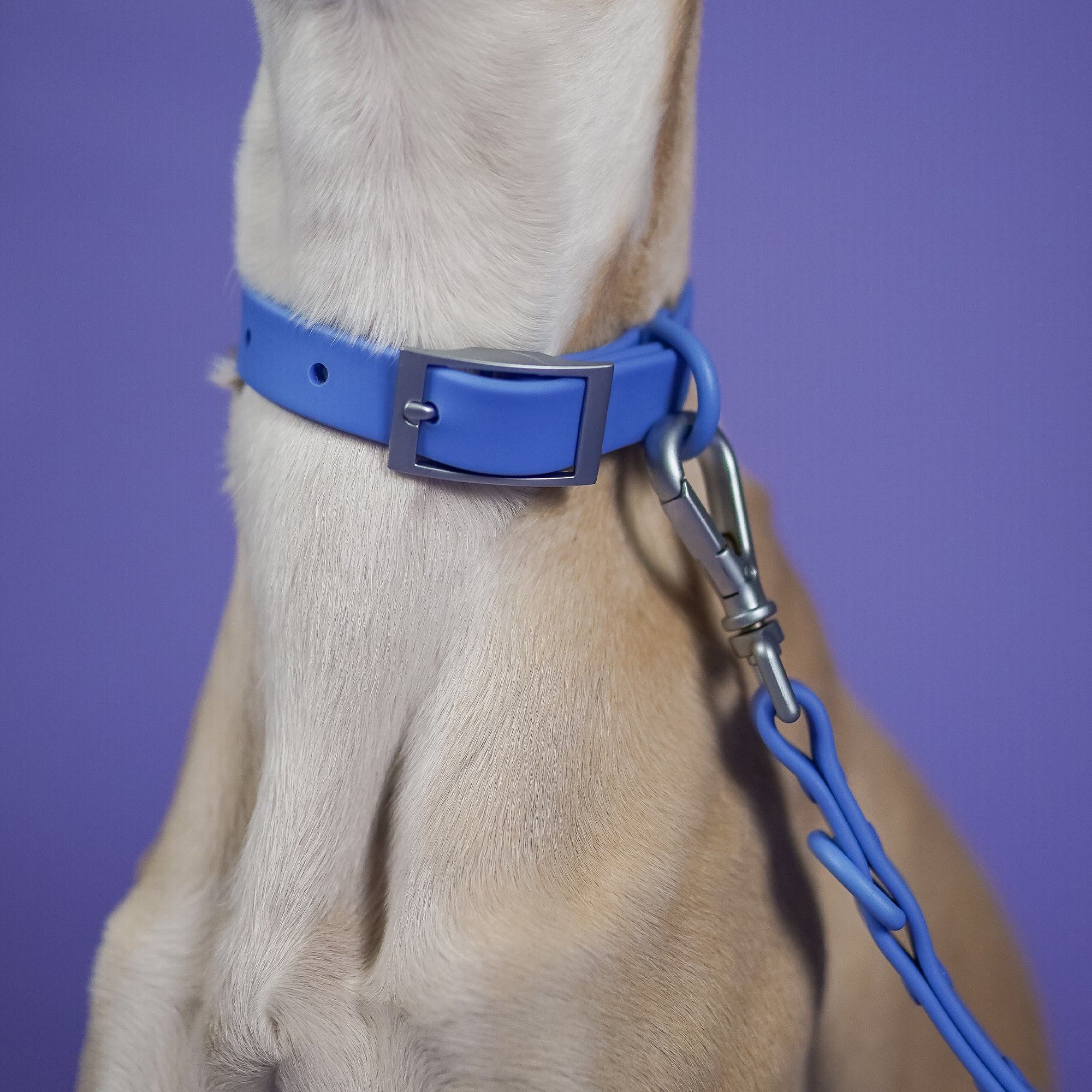 The Rowdy Walk Set- Berry