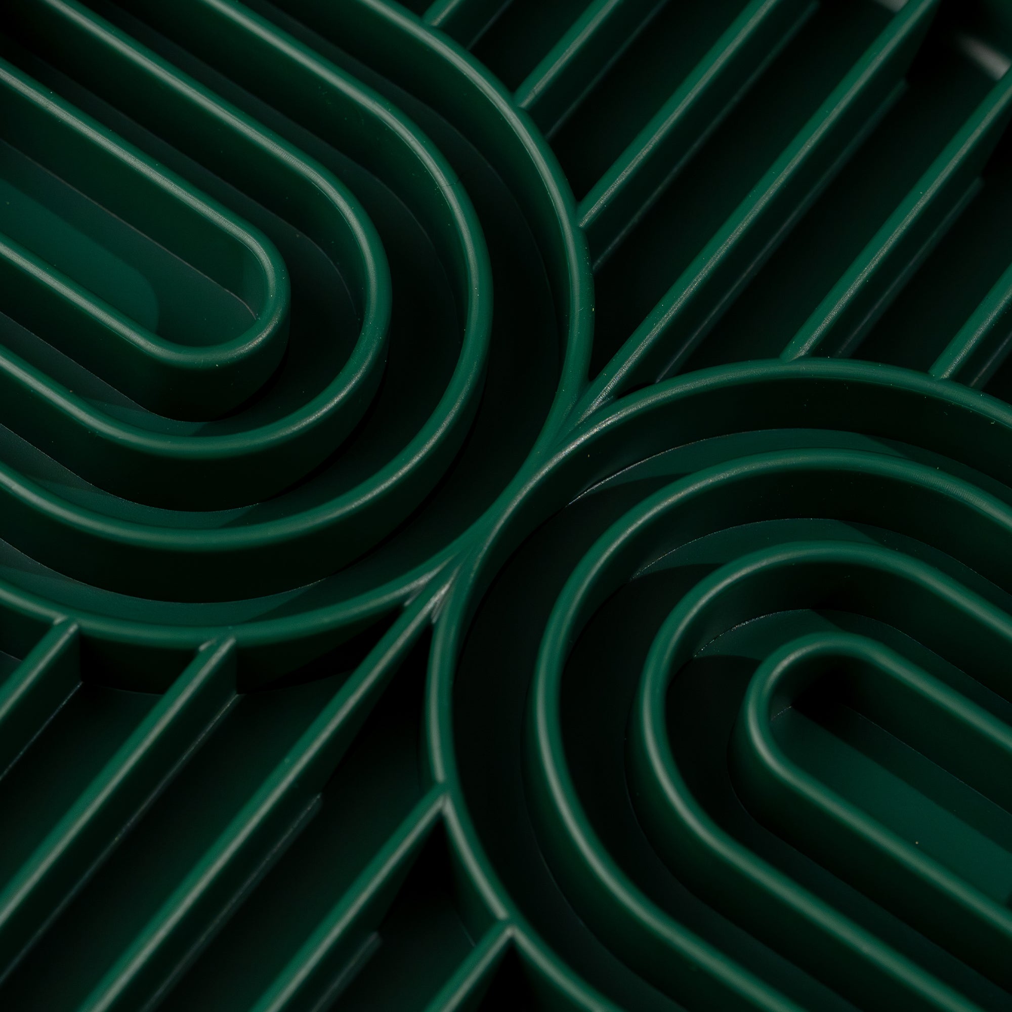 The Forage Dish: Moss