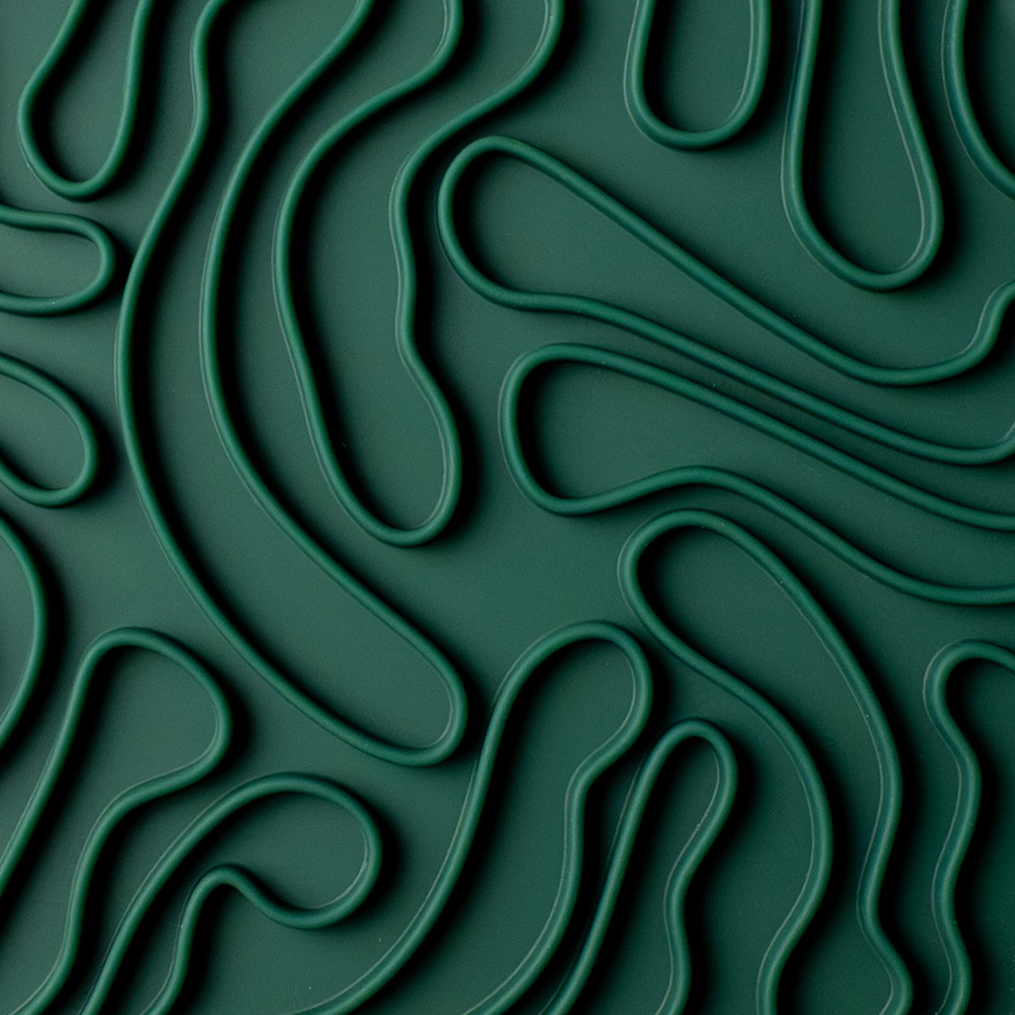 The Forage Dish: Moss