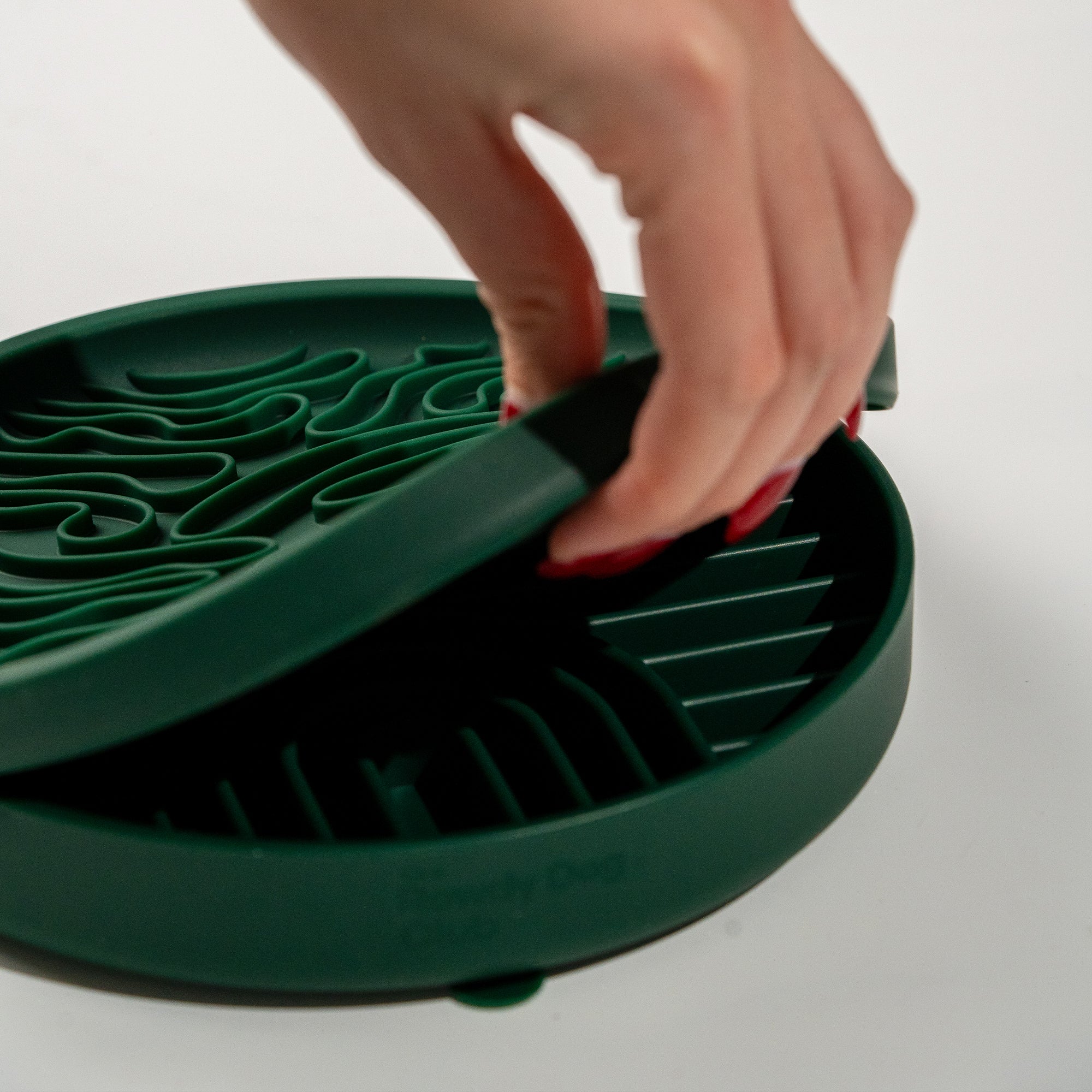 The Forage Dish: Moss