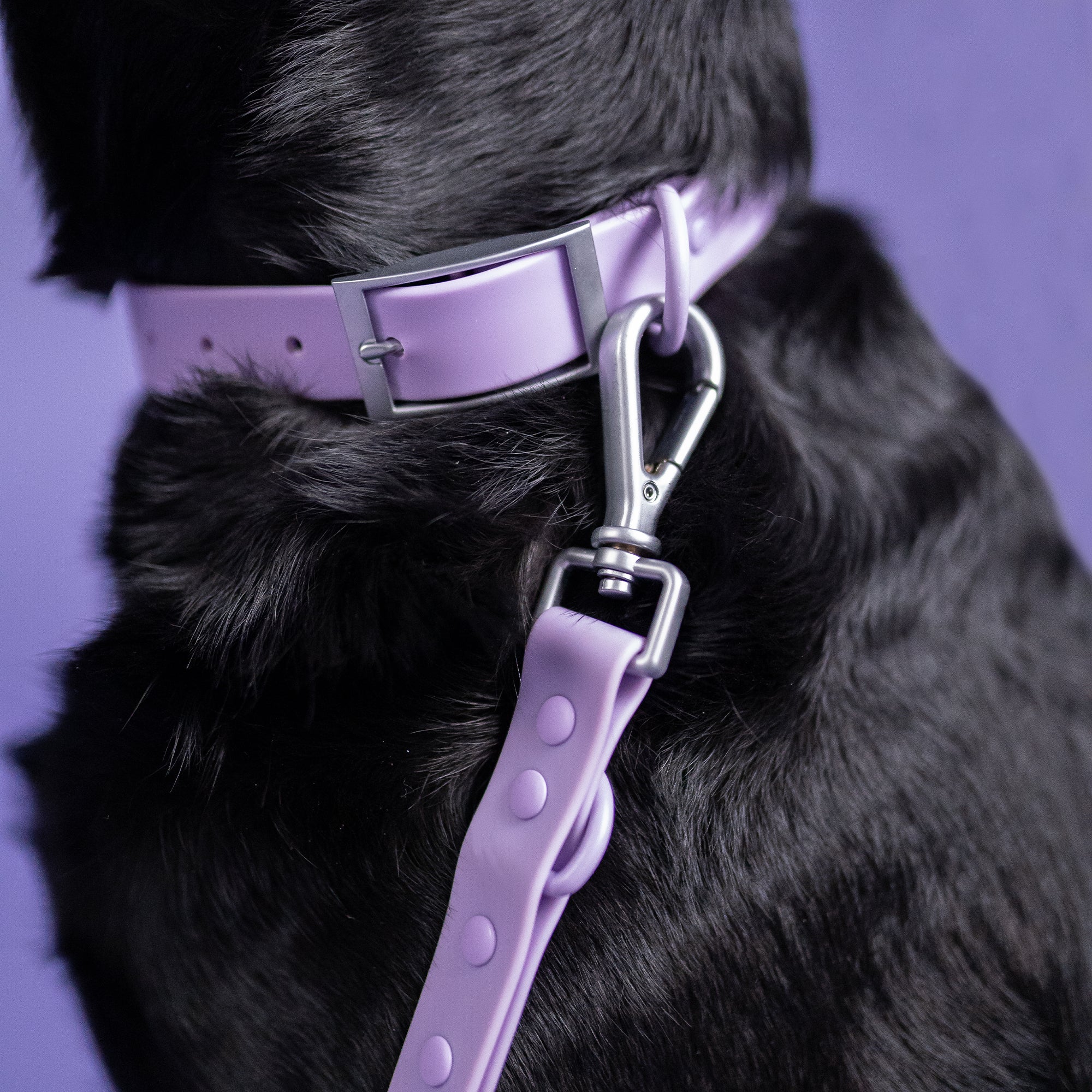 The Rowdy Walk Set- Lavender