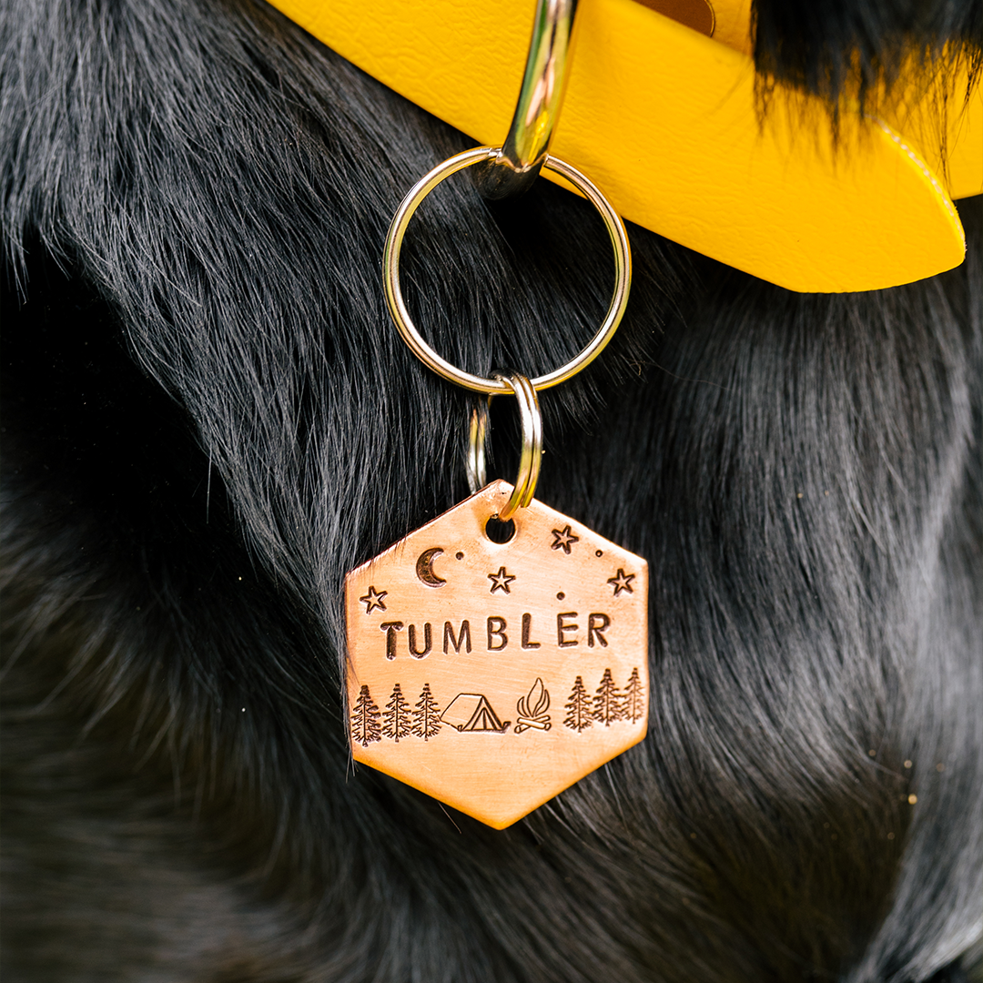 Tumbling Into The Wild